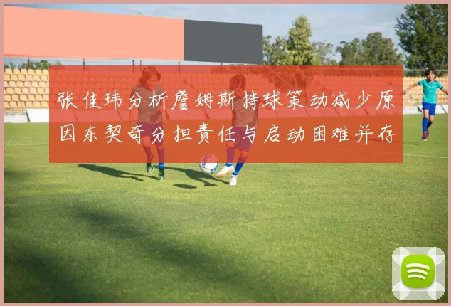 张佳玮分析詹姆斯持球策动减少原因东契奇分担责任与启动困难并存