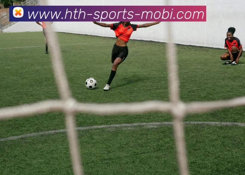 华体会体育全站App